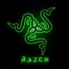 Raser